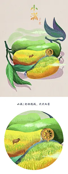 水果里的二十四节气（上） | 猫与婵 - 原创作品 - 涂鸦王国插画
