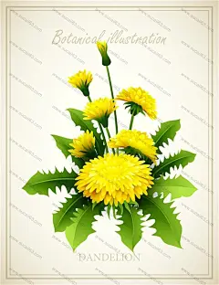 黄色蒲公英嫩绿叶子鲜花贺卡植物春季海报图片海报设计节日海报首页素材