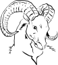 羊图片羊简笔画PNG格式