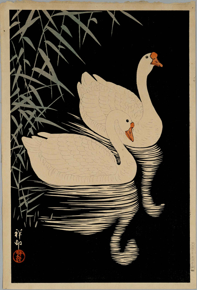 Swans (date unknown)...