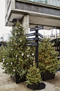 其中包括图片：Chanel’s New Pop-up at the Standard Is a Stylish, High-Tech Winter Wonderland