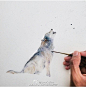 img-f5a14c60a9ca30ff5937b8b69cfaf2a7