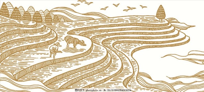 梯田耕牛,线稿,手绘,远景,水牛,农田,...