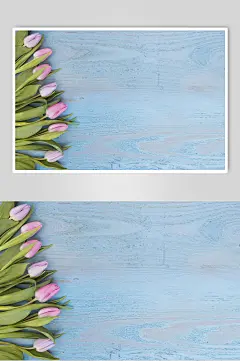 文艺花语花朵高清图片