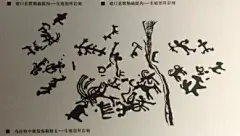阴山岩画_百度图片搜索
