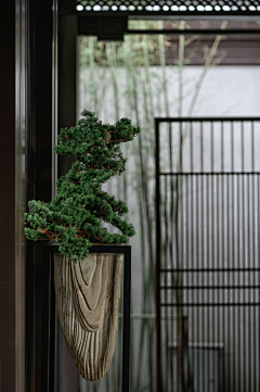 東楓采集到别墅庭院