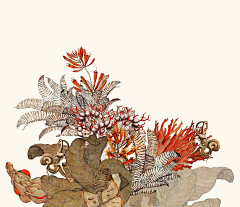 木枯11111采集到花卉素材
