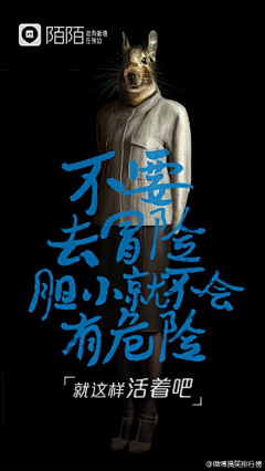 壹肆壹肆采集到鼠