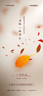 秋分海报-源文件