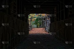 一睹秋季风采