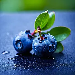 水果蓝莓高清图片素材