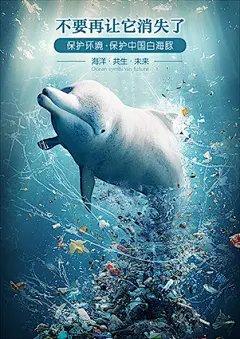保护中国白海豚，环保海报，个人原创作品，海洋生物