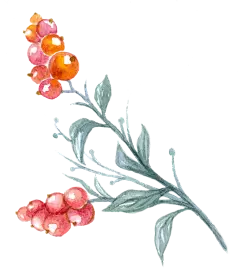 手绘卡通树叶花装饰素材