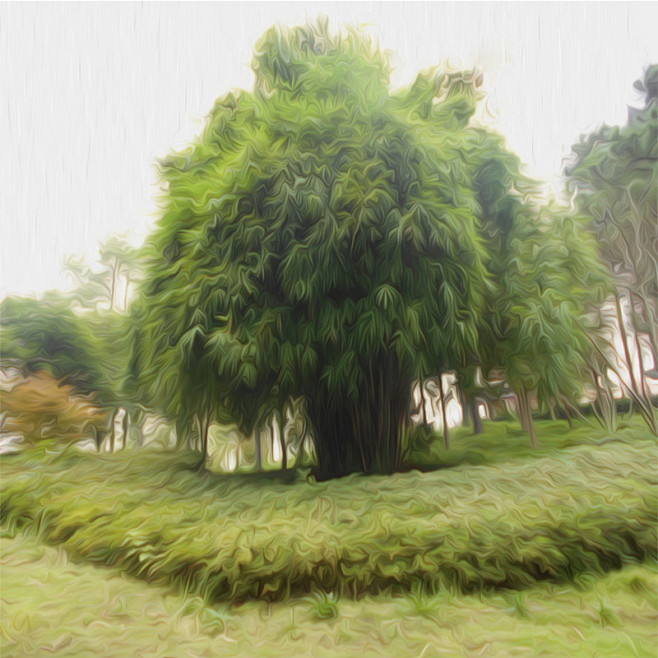 特效风景