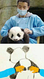 呵。。
