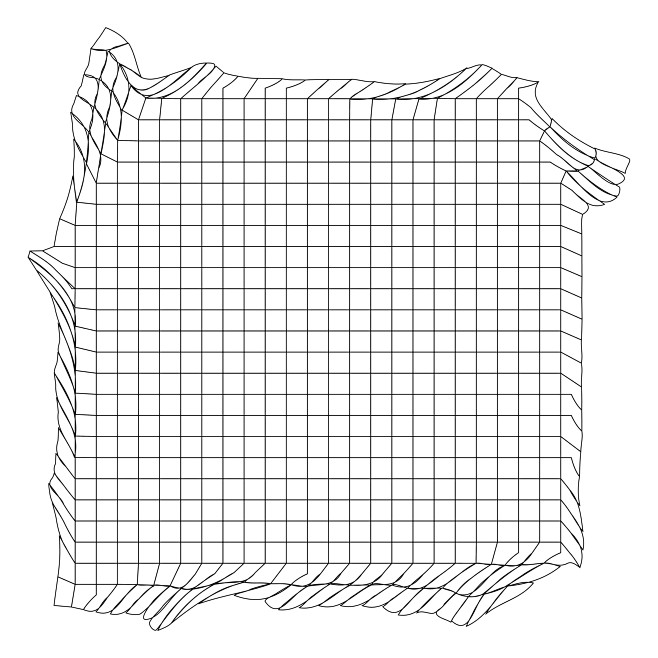 Distorted Grid-10
