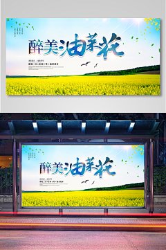 清爽时尚醉美油菜花主题宣传展板