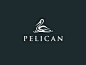 Pelican by Bodea Danie