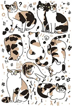 三花猫！