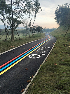 琴海蓝鲟采集到景观类型—道路/线性景观