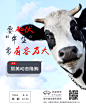 丰胸   医美整形 h5 设计加V，L1476473805