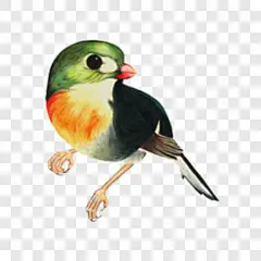 森系小鸟漂浮元素PNG图片➤来自 PNG搜索网 pngss.com 免费免扣png素材下载！