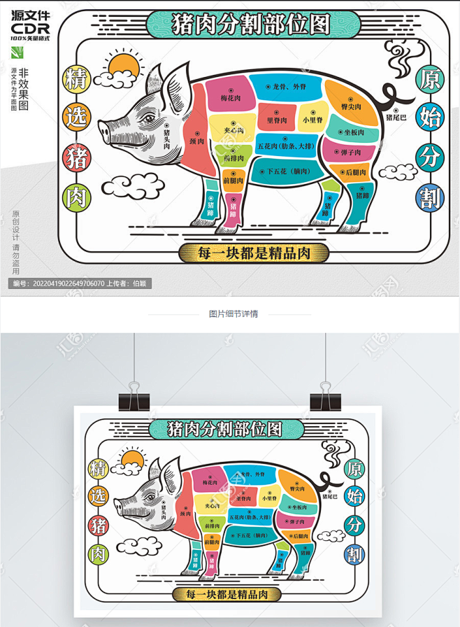 猪的部位图 猪肉部位图 猪肉分布图 猪肉分解图 猪肉分割图 猪肉介绍 分割猪肉 猪肉分布示意图 猪肉分割部位图 猪肉部位分割图 肉类分割图 整 ...