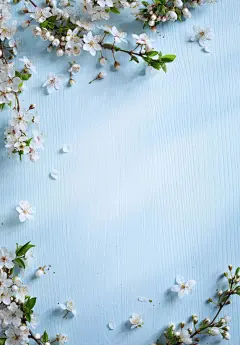 木板上的桃花图片