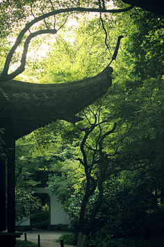 古风实景拍摄