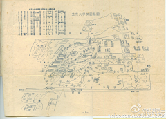 治愈是伤采集到starting