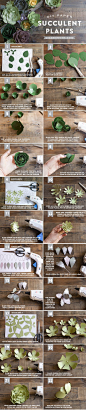 DIY | Four Paper Succulent plant Tutorials