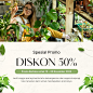 Krem Hijau Modern Promo Diskon Toko Tanaman Instagram Post