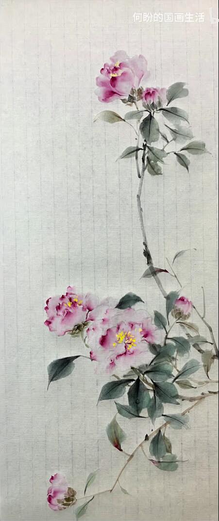 复瓣山茶