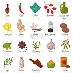 香料，调味品和调味食品草药装饰元素矢量.