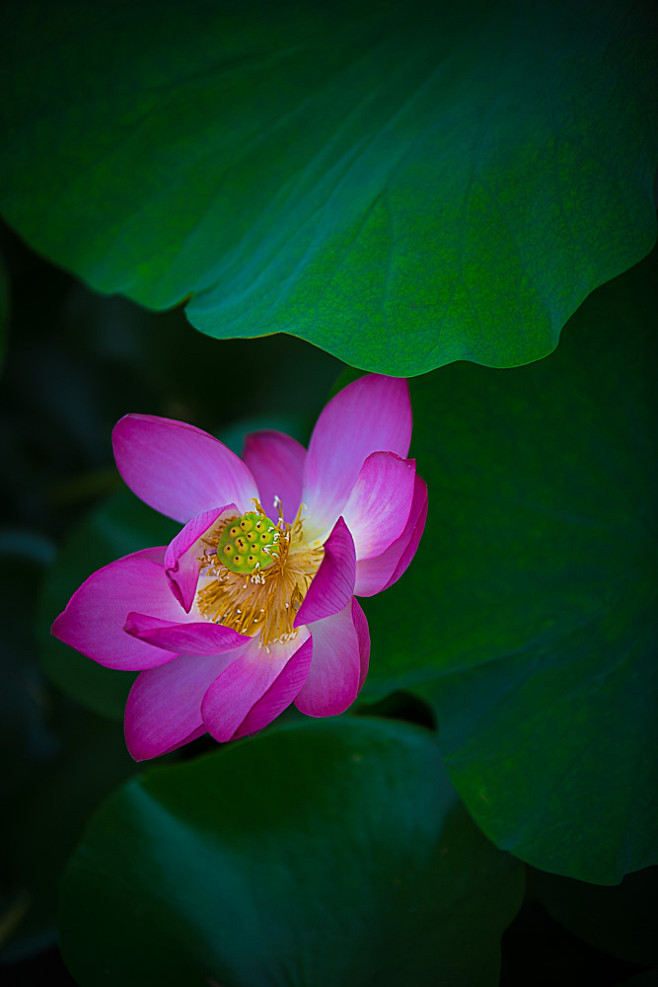 012b5e5b53087fa80120...