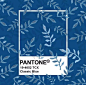 蓝色风暴！你Pick克莱因蓝还是Pantone经典蓝？