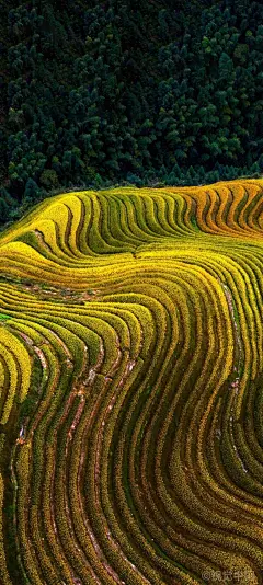 大地最佳指纹•在这里、游客可以体验到从山脚到山峰的徒步旅行，沿途不仅能欣赏到变幻莫测的梯田景观，还能深入了解当地的乡土气息。