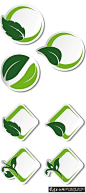 图标/标签 环保绿叶标签矢量素材，环保,绿叶,标签,叶子,标贴,矢量素材,EPS格式免费矢量素材网站  #网页# #经典# #包装# #字体# #Logo# #素材#