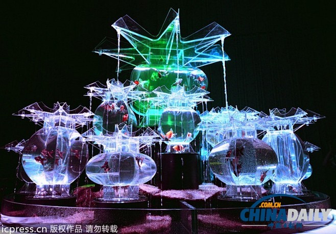 日本东京“艺术水族馆”展览开幕 展品精美...