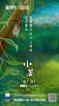 小暑