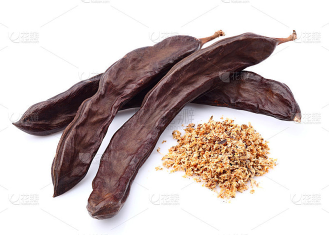 角豆树。能量的食物