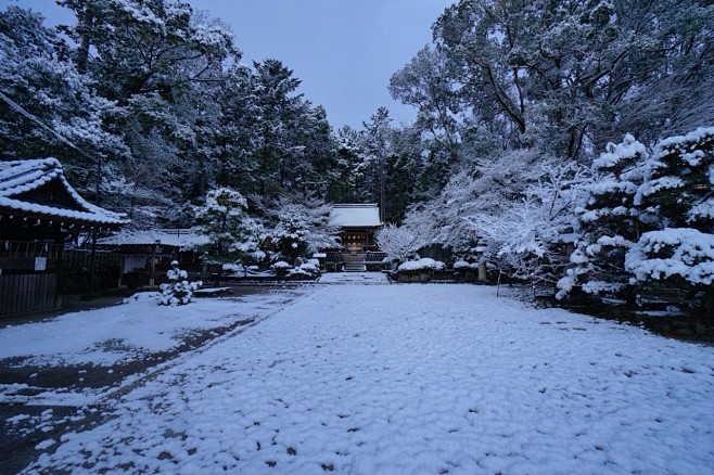 雪景