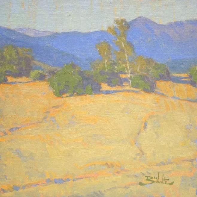 Dan Schultz ​​​​