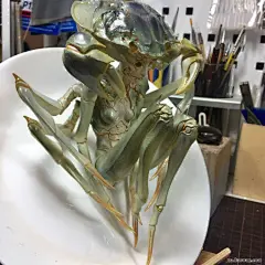 【今日囧图】卧槽这是什么吻戏操作啊 - AcFun弹幕视频网 - 认真你就输啦 (?ω?)ノ- ( ゜- ゜)つロ