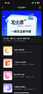 01-文小言-产品说明书-20241030