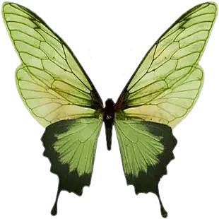 (1827) Pinterest