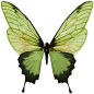 (1827) Pinterest