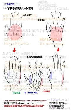 个人笔记：手掌与手背更多关于的#绘画参考#⬇️手的基本·骨骼和肌肉的解说网页链接手的手掌·手背的可动：基本解说网页链接#漫画素材工房##漫画##绘画##手绘##mangamaterials##手掌##手背#​