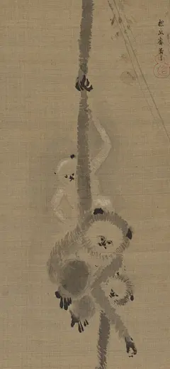 镜花水月一场空，你们看看哪只猴在消极怠工 ​​​​
