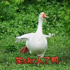 我又来求图了鸭子表情包还有没有鸭_剑网3吧_百度贴吧